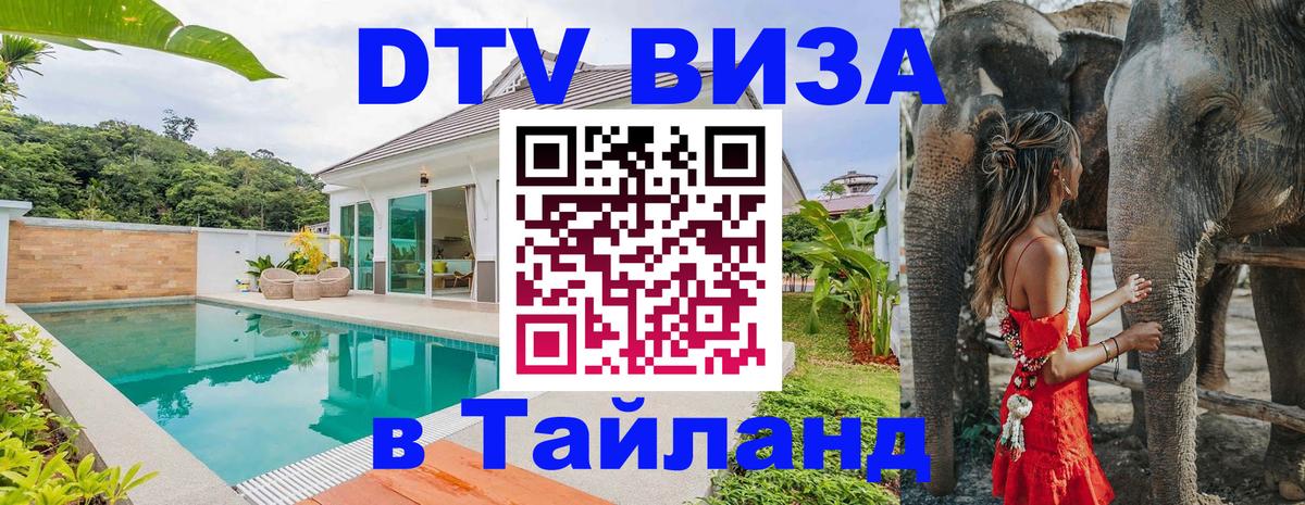 Сколько стоит DTV виза — актуальные цены, оформление даже без документов - 07.01.2026 